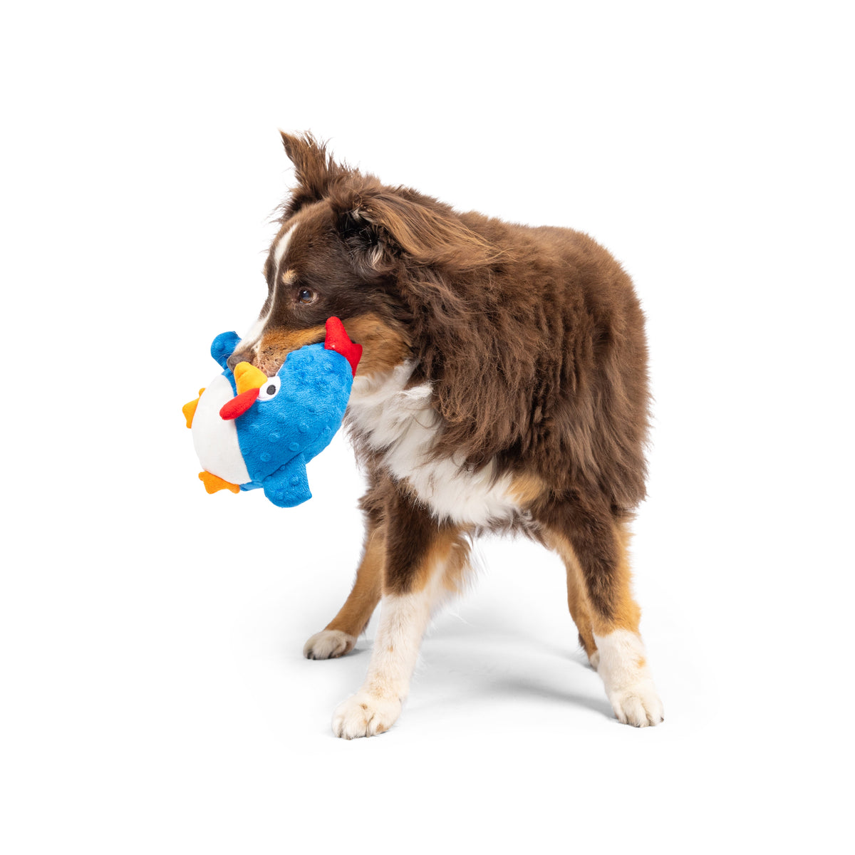 Pudgies Chicken Gordon Bleu Dog Toy