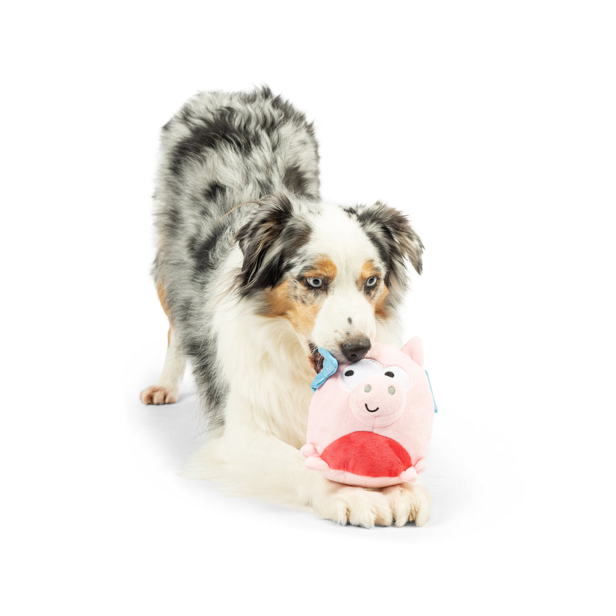 Pudgies Flying Piggasus Dog Toy