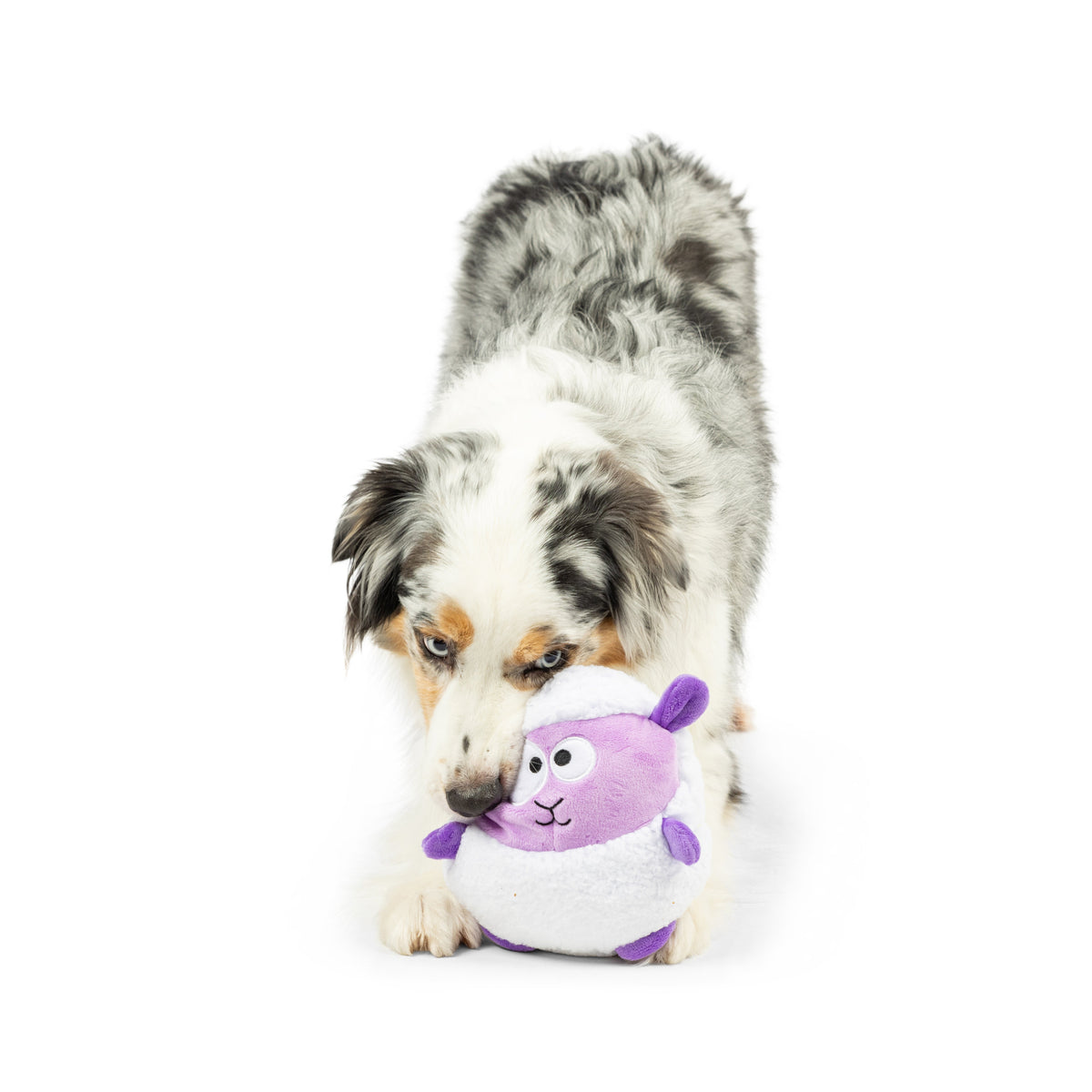 Pudgies Lady Baba Dog Toy
