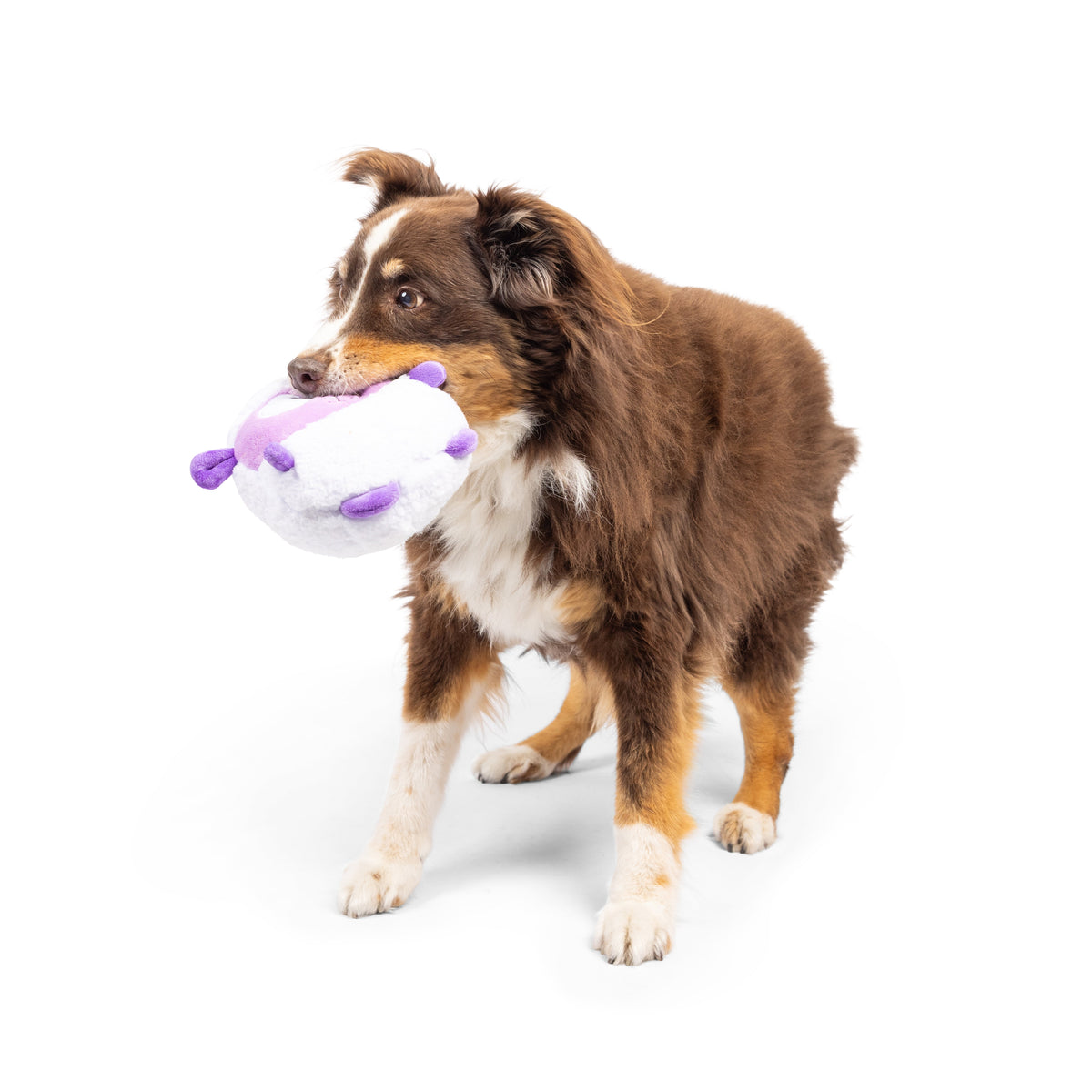 Pudgies Lady Baba Dog Toy