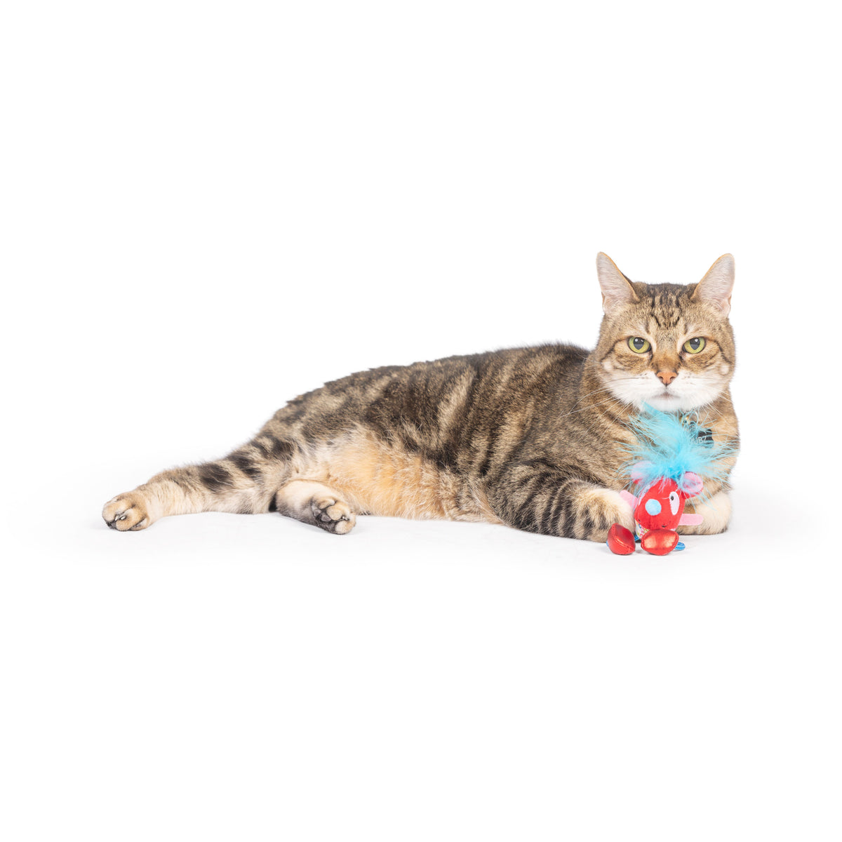 Cheerful Mouse Chirpy Cat Toy