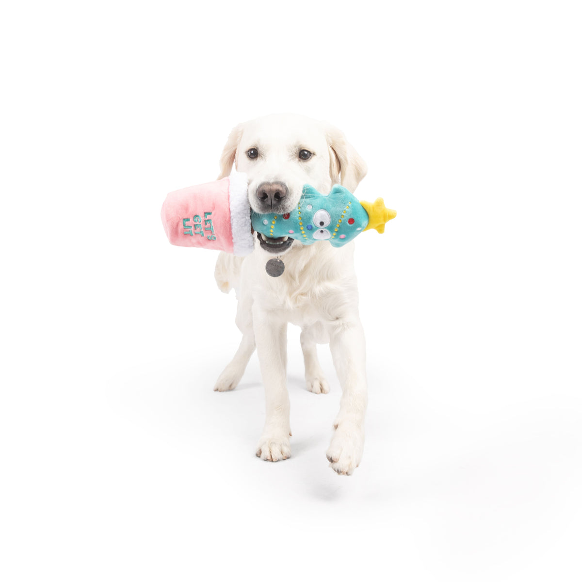 Seek &#39;n Treat Let&#39;s Get Lit Pawt Dog Toy