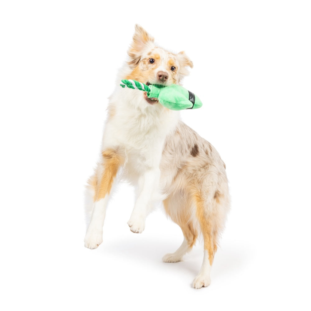 Shamrock Lollipop Dog Toy