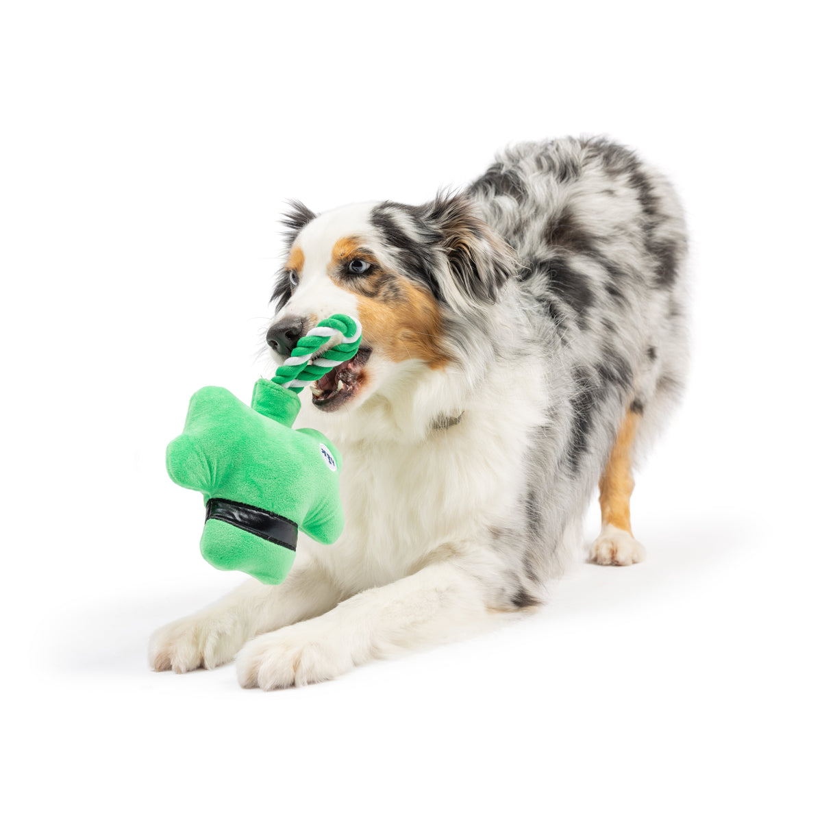 Shamrock Lollipop Dog Toy