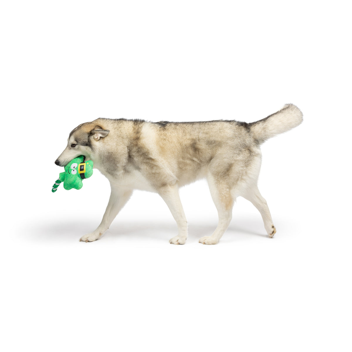 Shamrock Lollipop Dog Toy