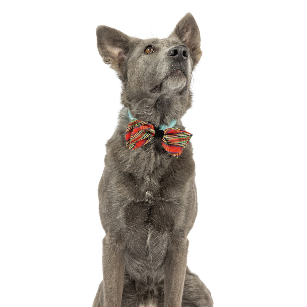 Shiny Christmas Plaid Bow Tie