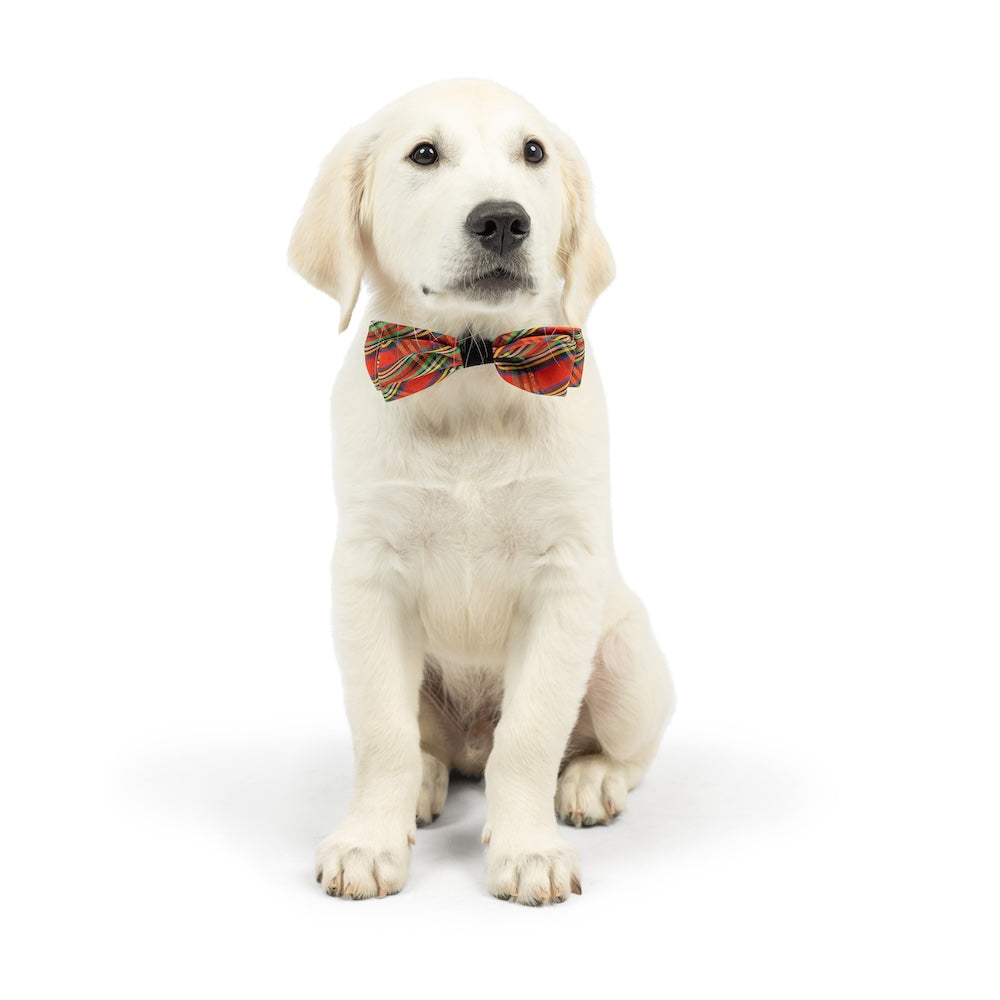 Shiny Christmas Plaid Bow Tie