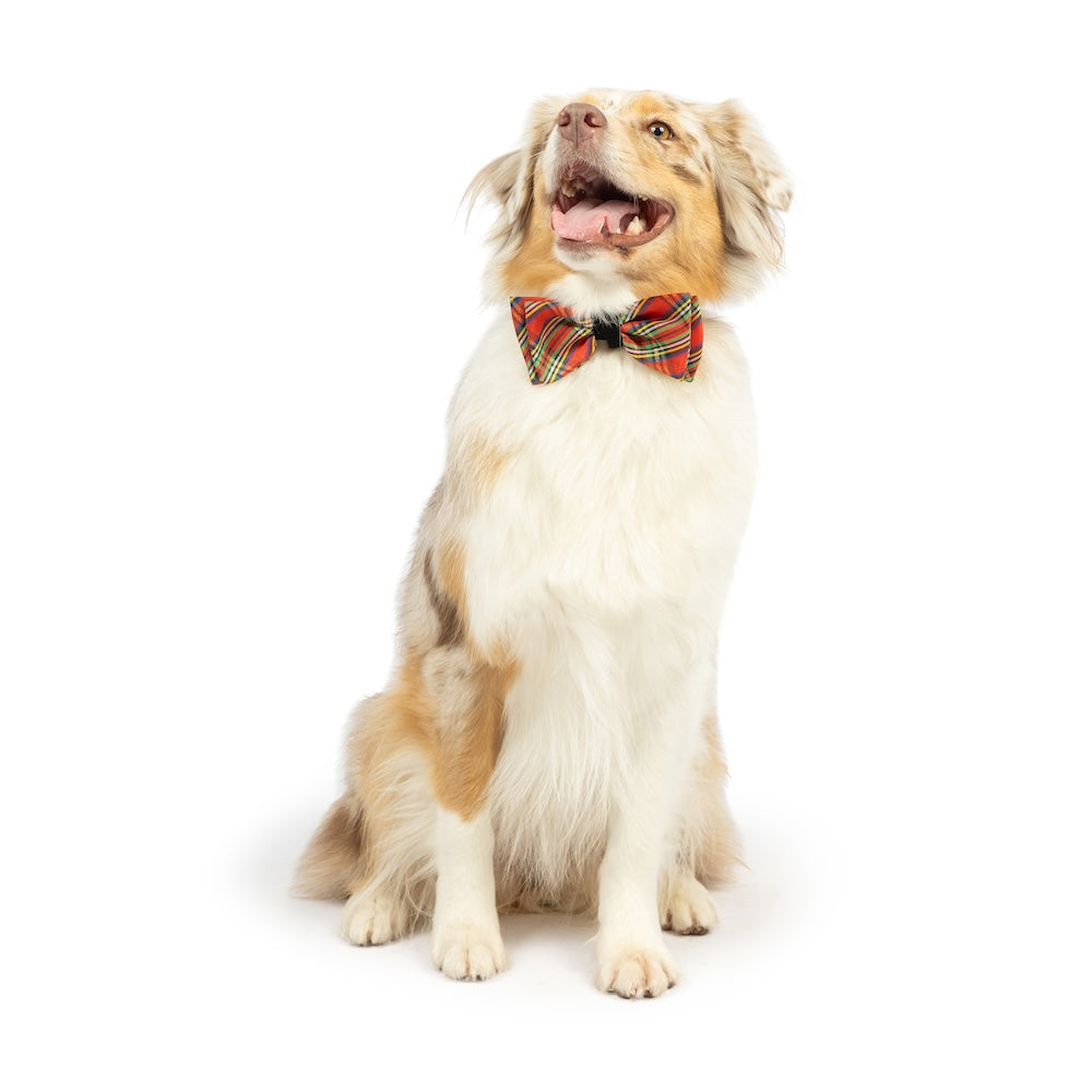 Shiny Christmas Plaid Bow Tie