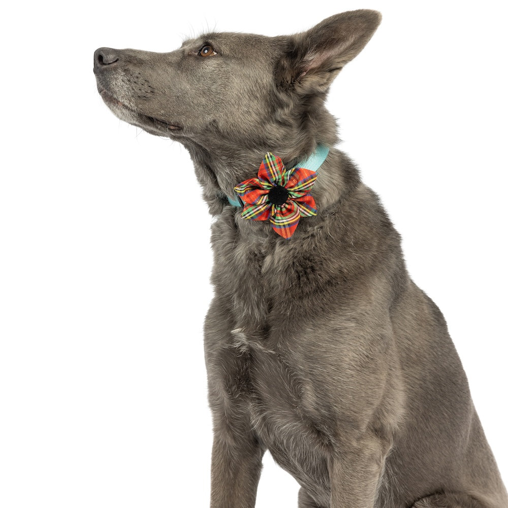 Shiny Christmas Plaid Pinwheel