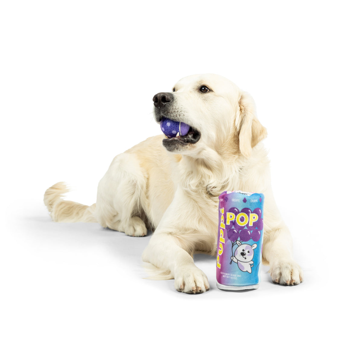 Squeak 'n Peek Puppi Pop Grape Dog Toy