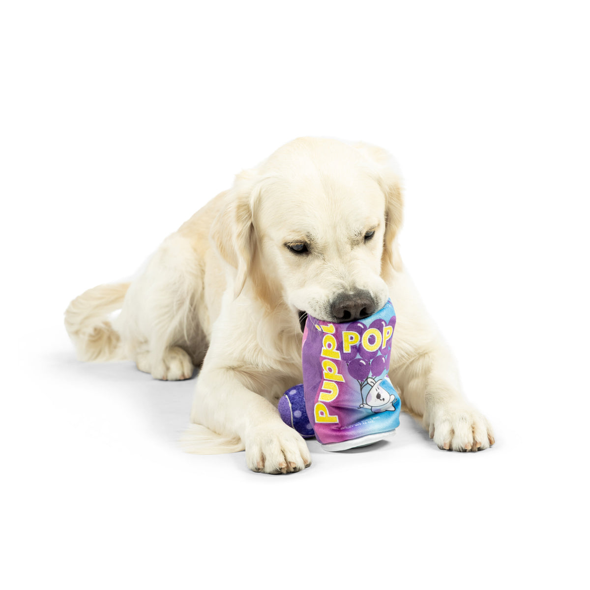 Squeak 'n Peek Puppi Pop Grape Dog Toy