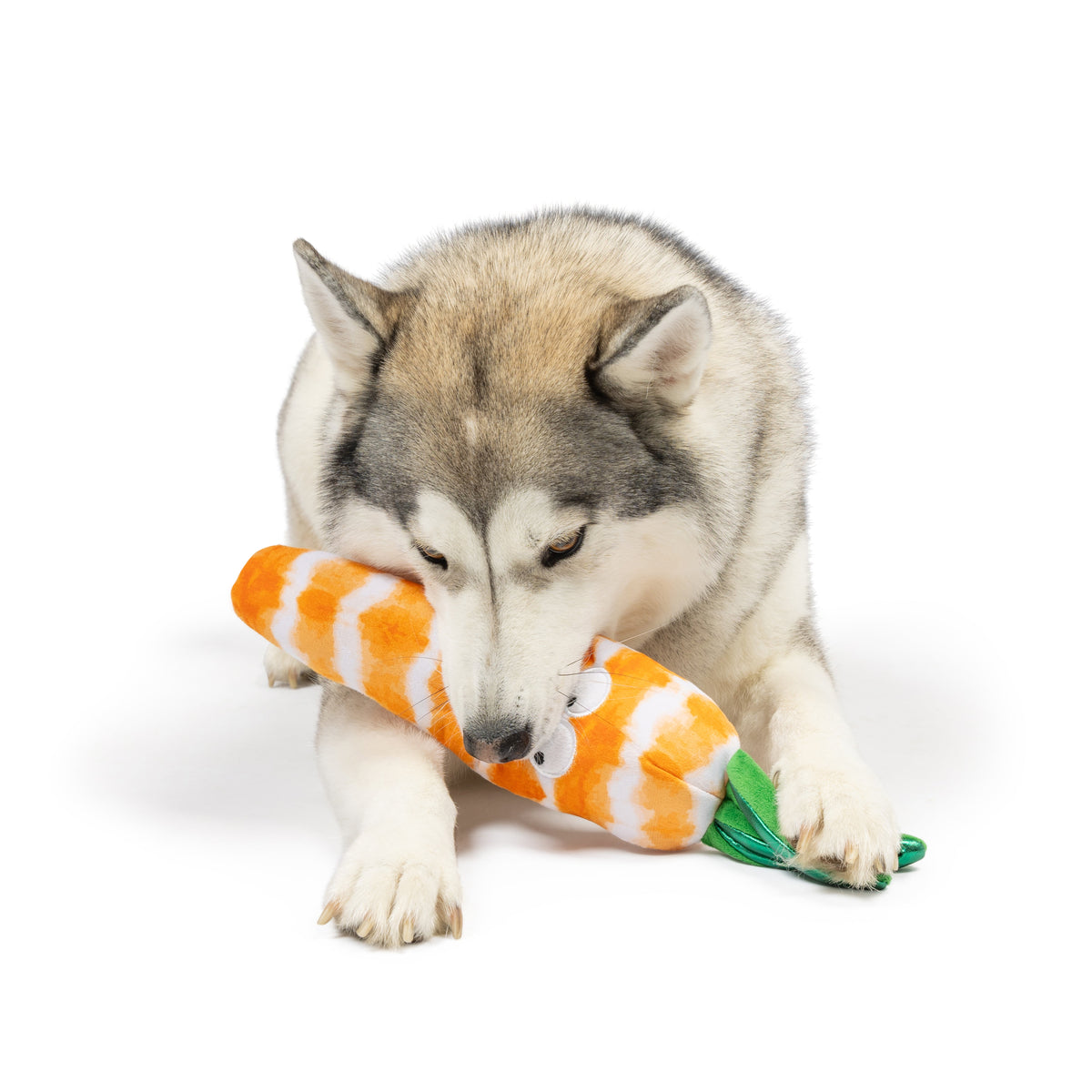 Fetchies® Sweet Carrot Dog Toy