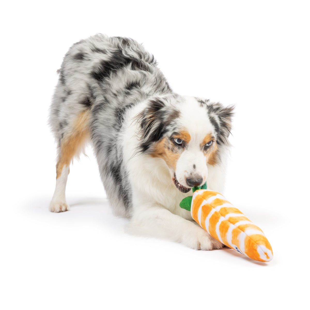 Fetchies® Sweet Carrot Dog Toy