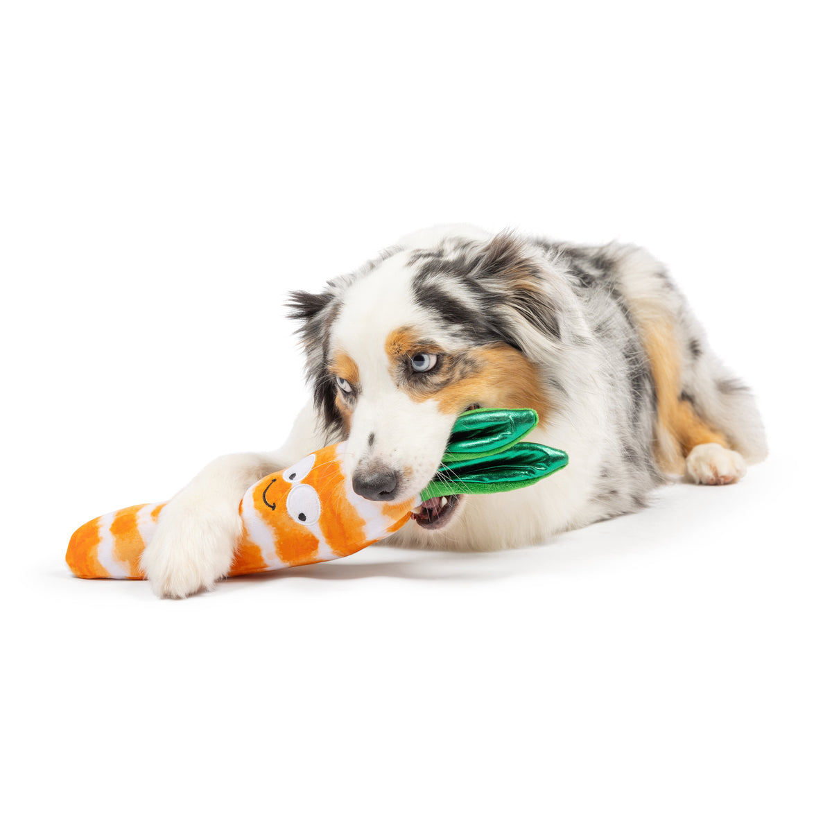 Fetchies® Sweet Carrot Dog Toy