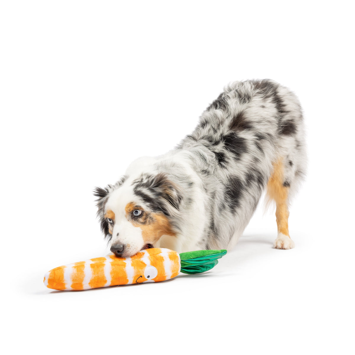 Fetchies® Sweet Carrot Dog Toy