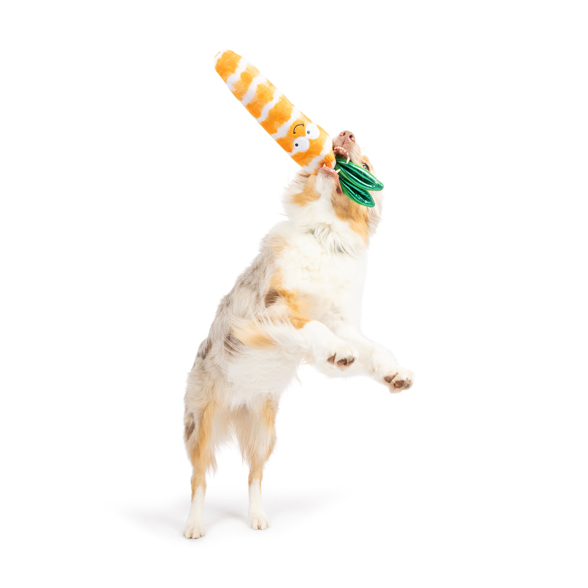 Fetchies® Sweet Carrot Dog Toy