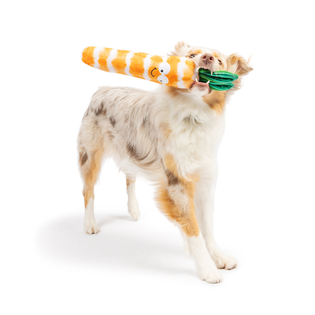 Fetchies® Sweet Carrot Dog Toy