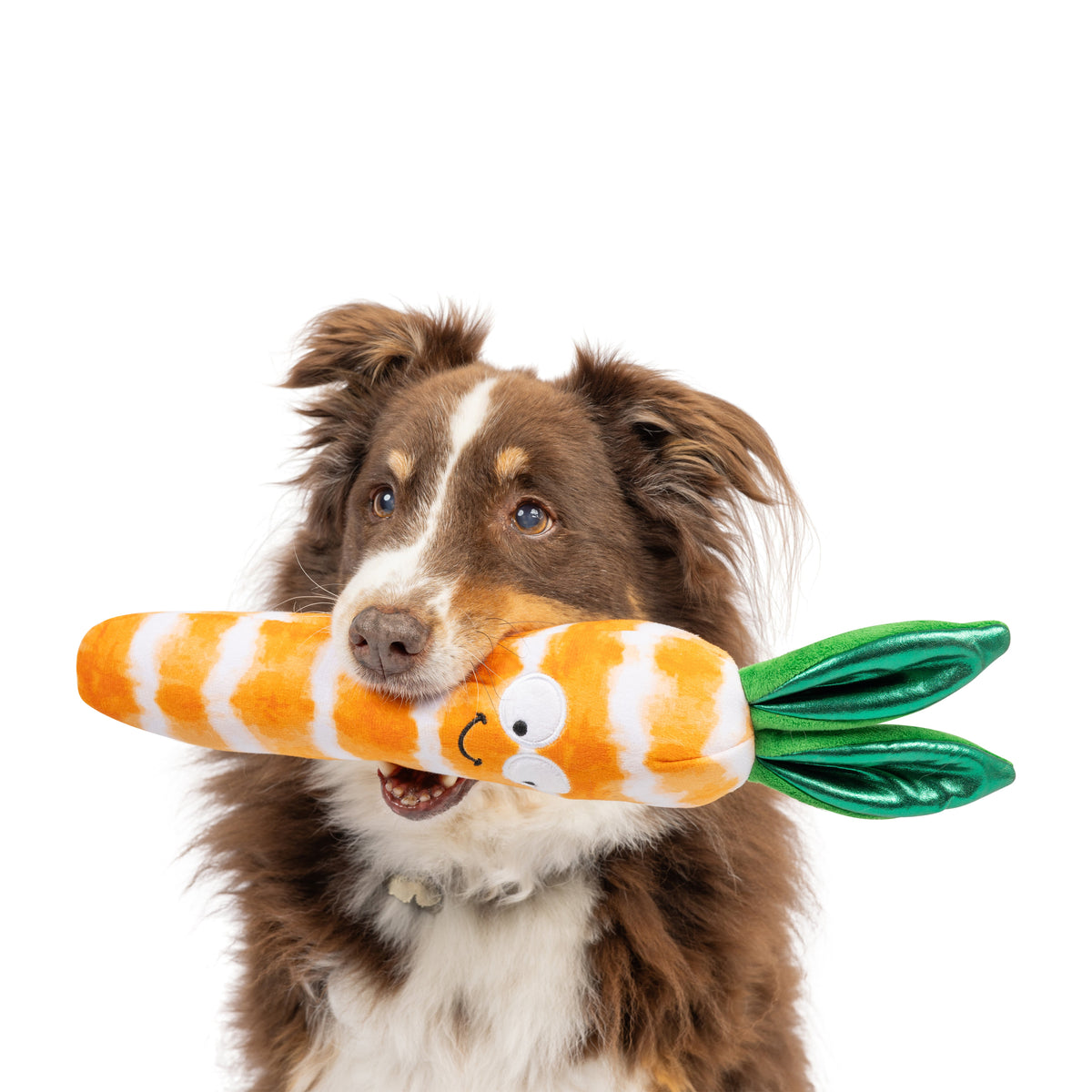 Fetchies® Sweet Carrot Dog Toy