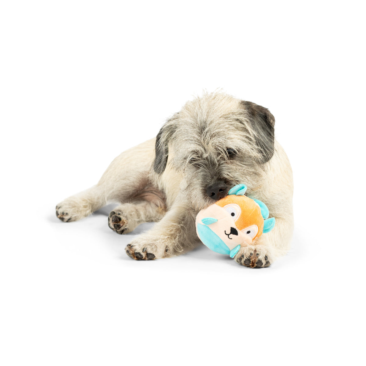 Tiny Tuff Nutty Buddy