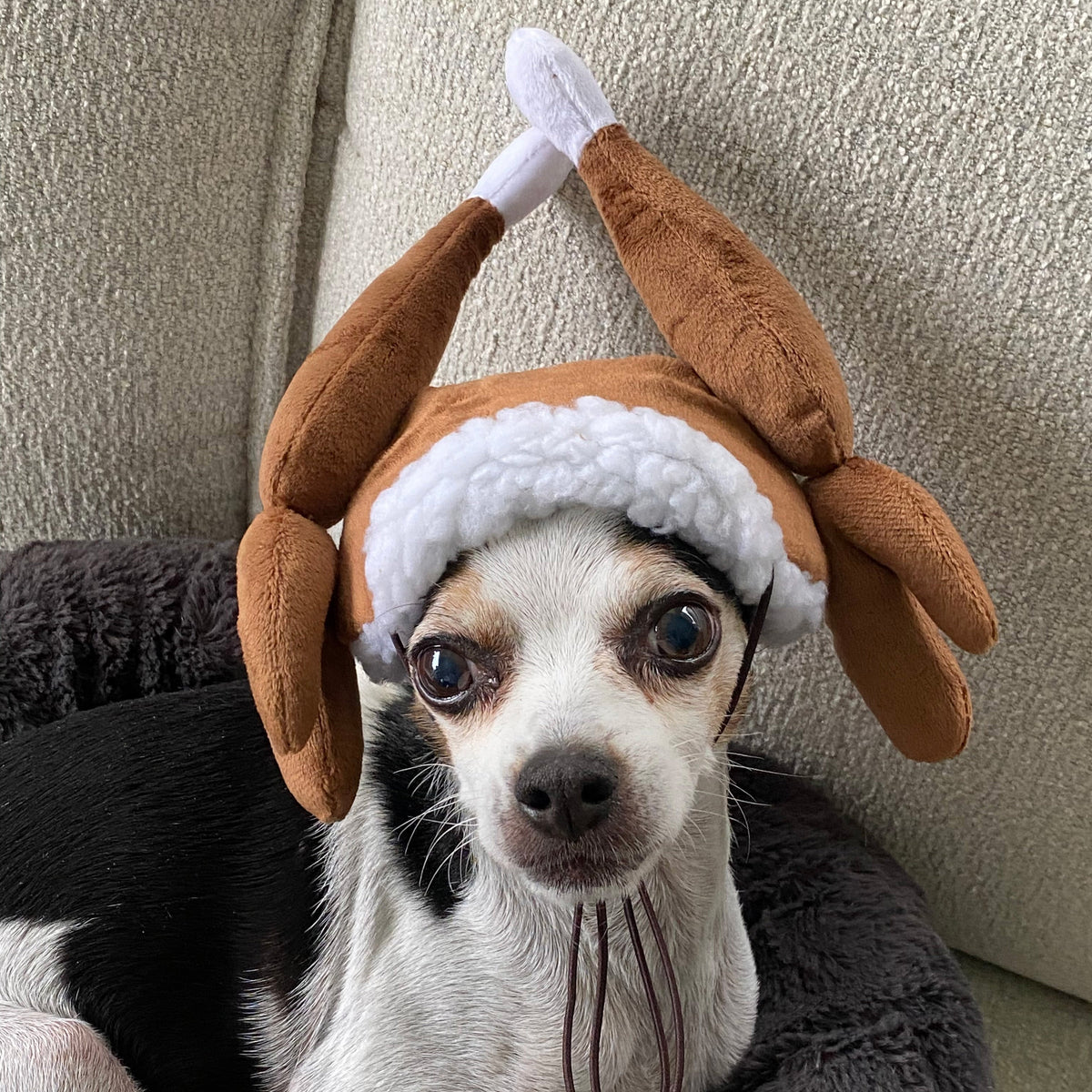 Turkey Tester Hat with SnugFit®