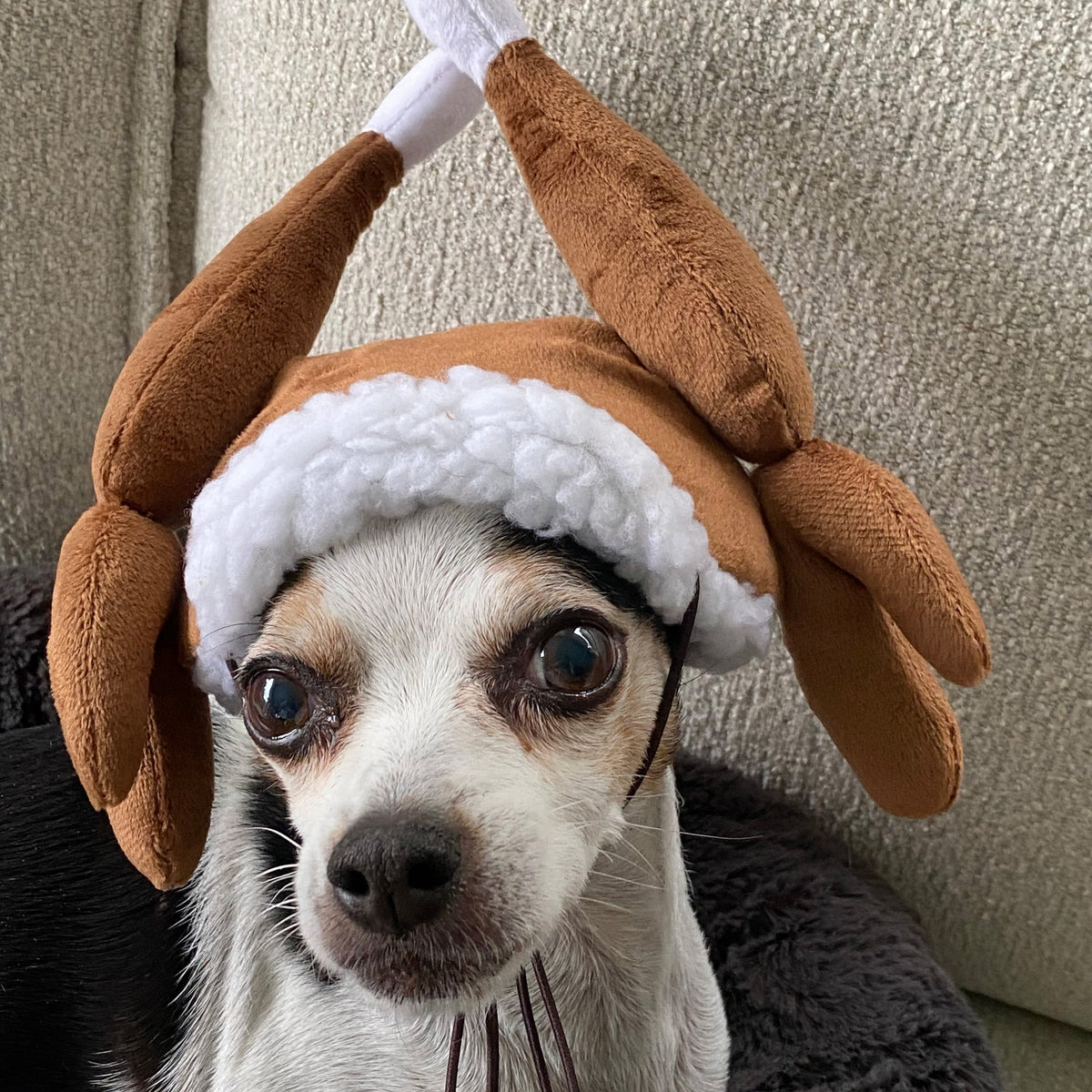 Turkey Tester Hat with SnugFit®