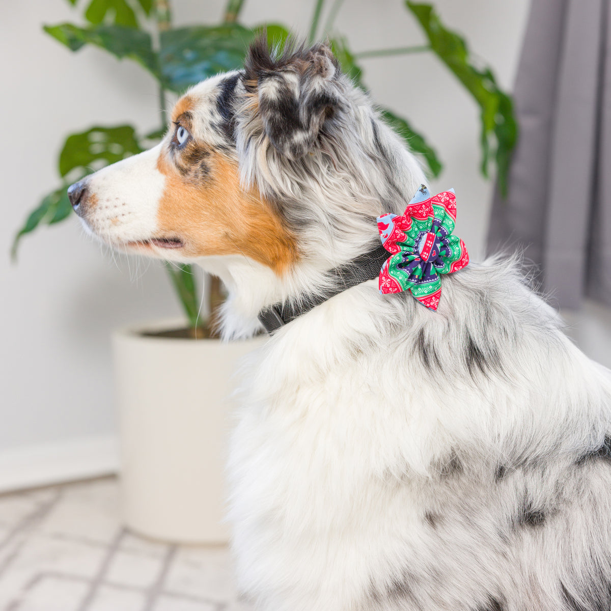 Ugly Sweater Pinwheel
