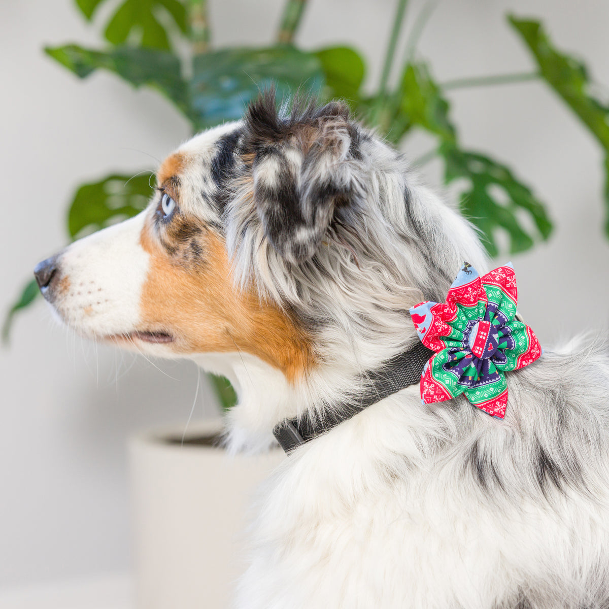 Ugly Sweater Pinwheel