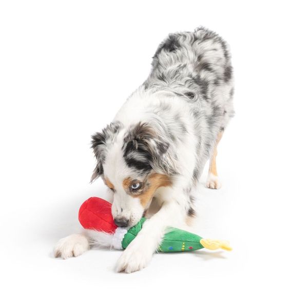 Fetchies® Let&#39;s Get Lit Gnome Dog Toy
