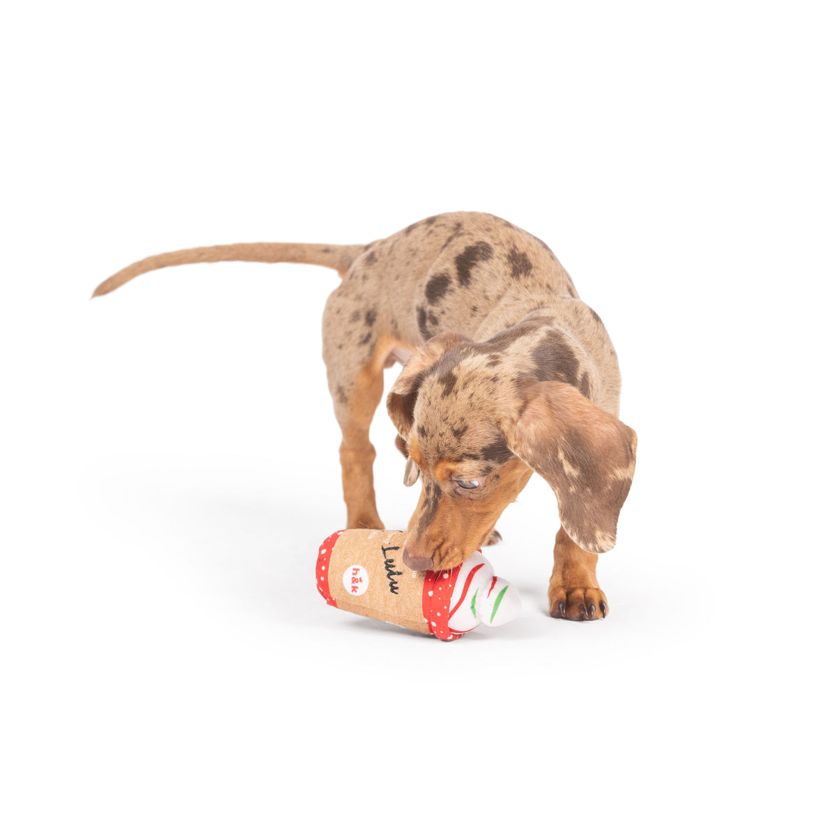 Tiny Tuff Latte My Way