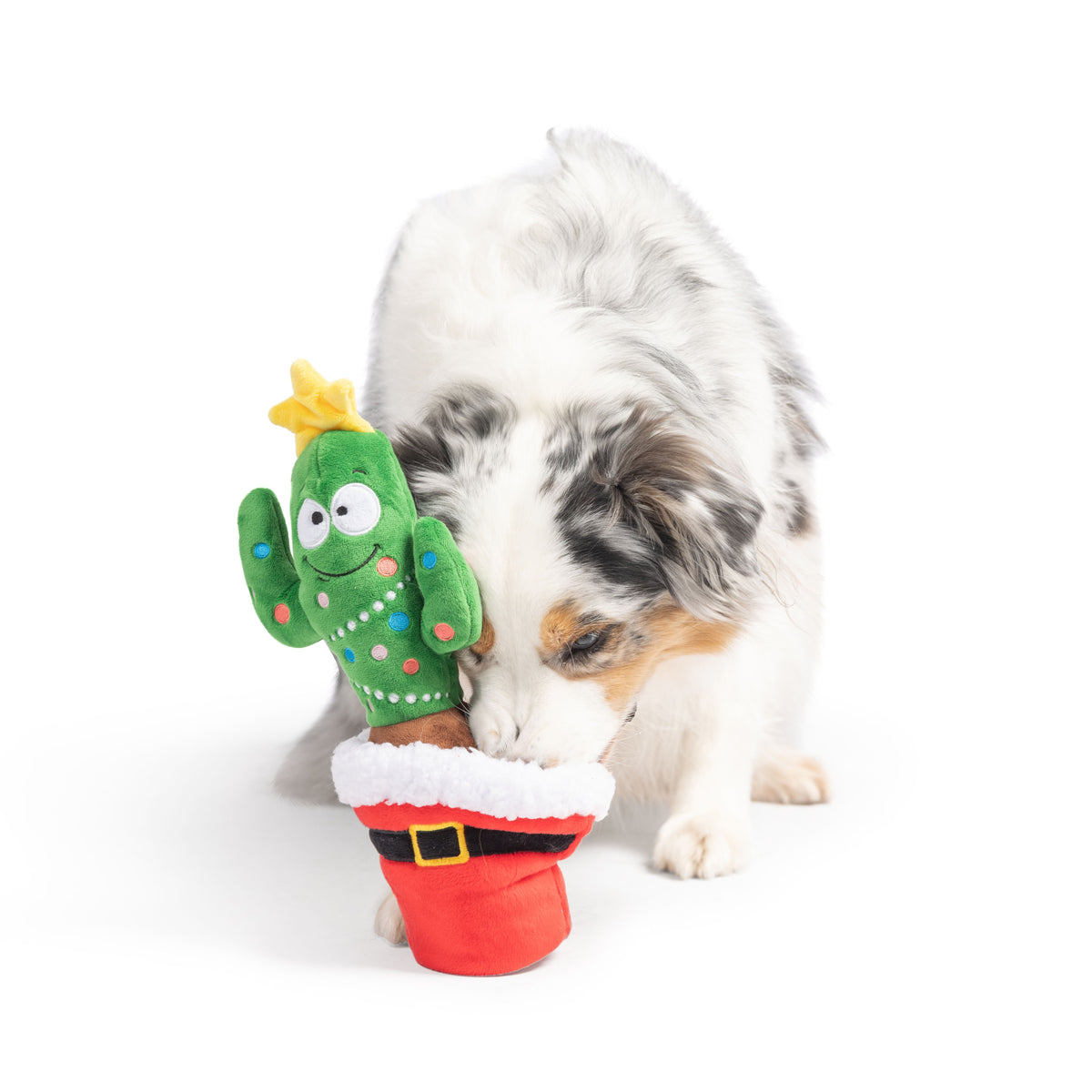 Seek &#39;n Treat Prickly &amp; Bright Pawt Dog Toy