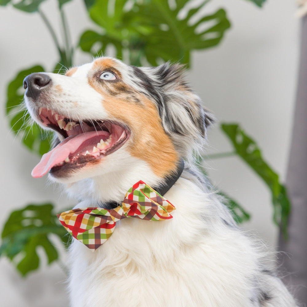 Harvest Check Bow Tie