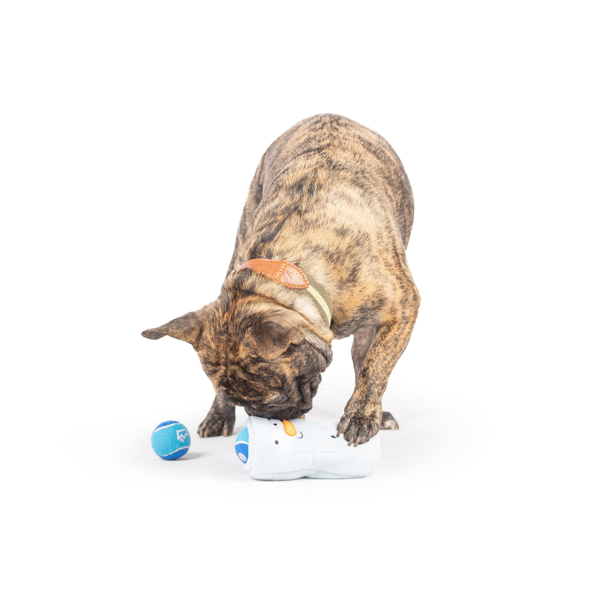 Squeak &#39;n Peek Frosty Snowman Dog Toy