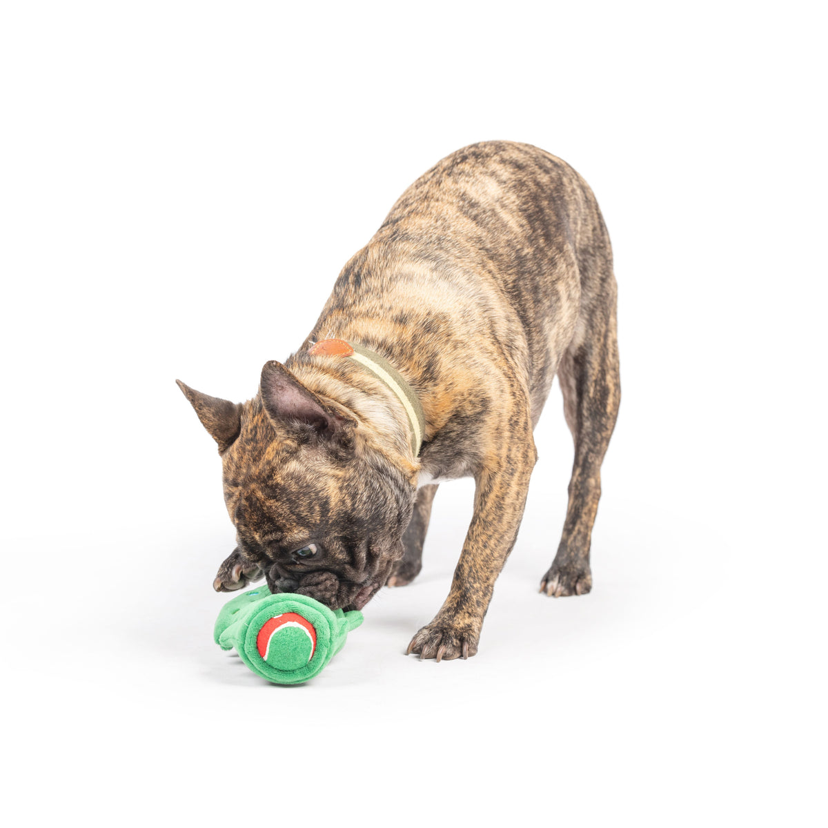 Squeak &#39;n Peek Christmas Tree Dog Toy