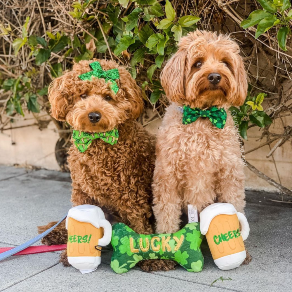 Lucky Shamrock Bow Tie