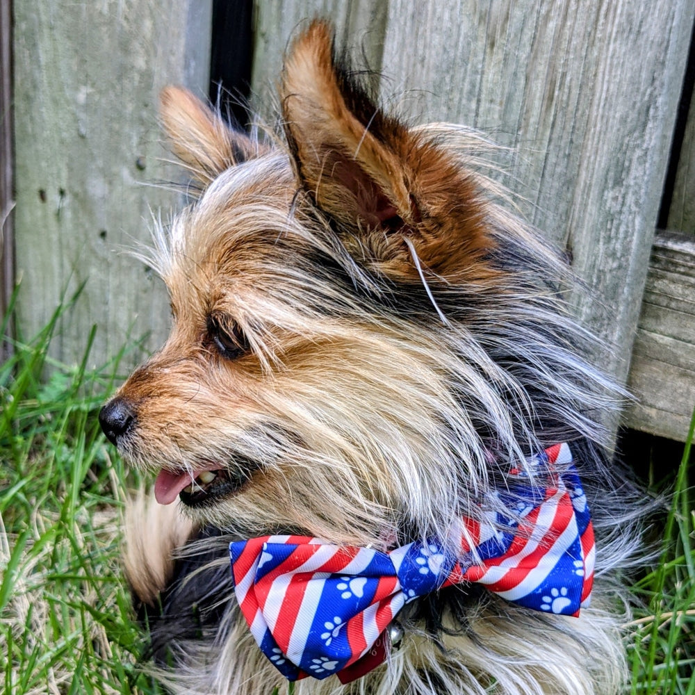 Paws &amp; Stripes Bow Tie