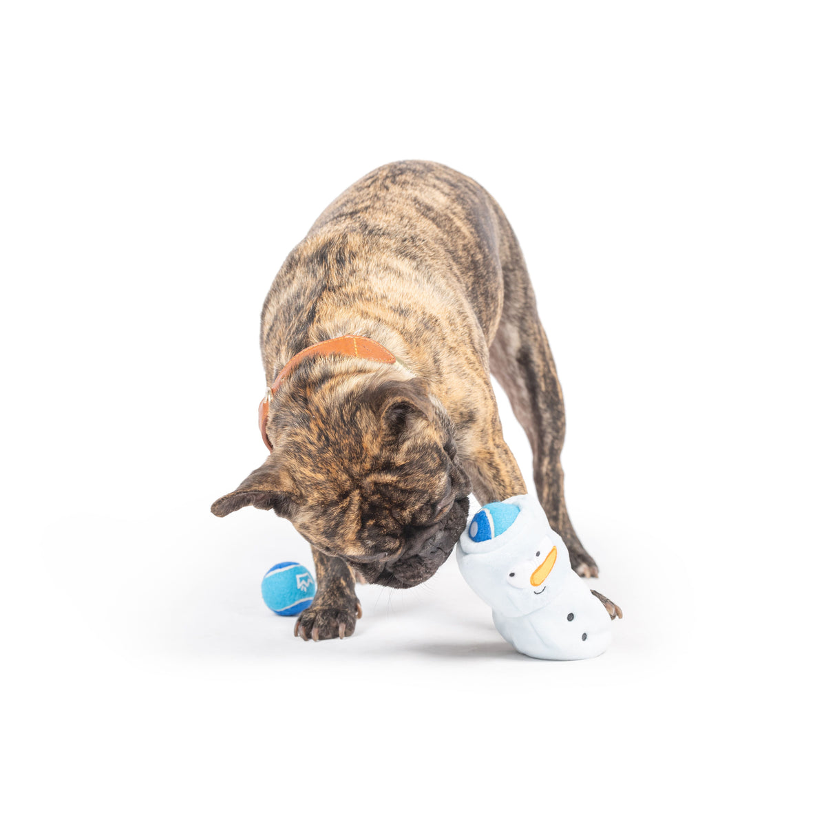 Squeak &#39;n Peek Frosty Snowman Dog Toy