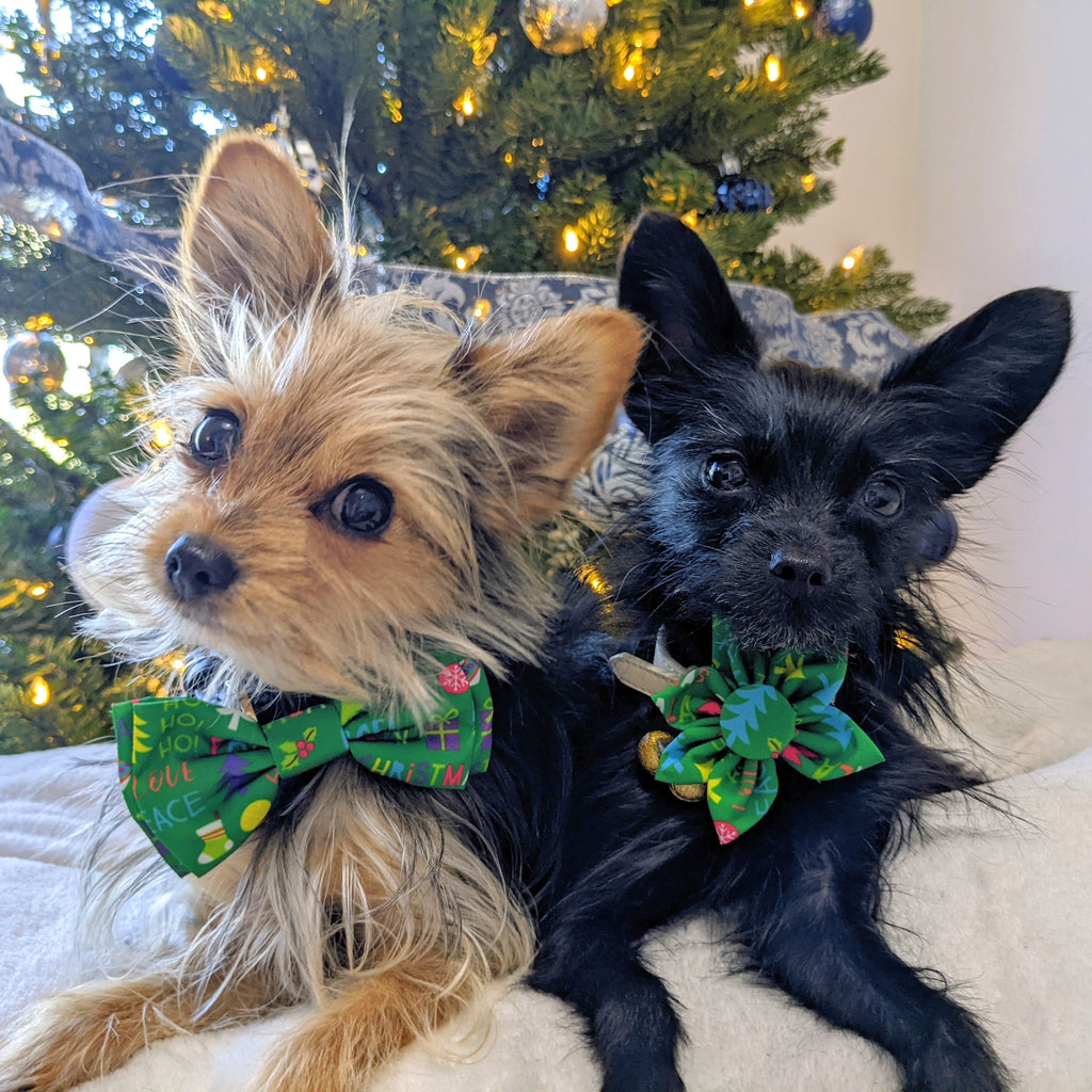 Merry & Bright Bow Tie