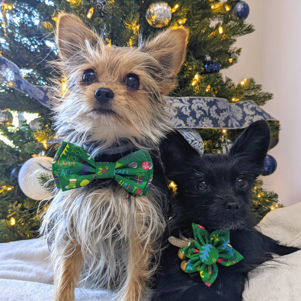 Merry & Bright Bow Tie