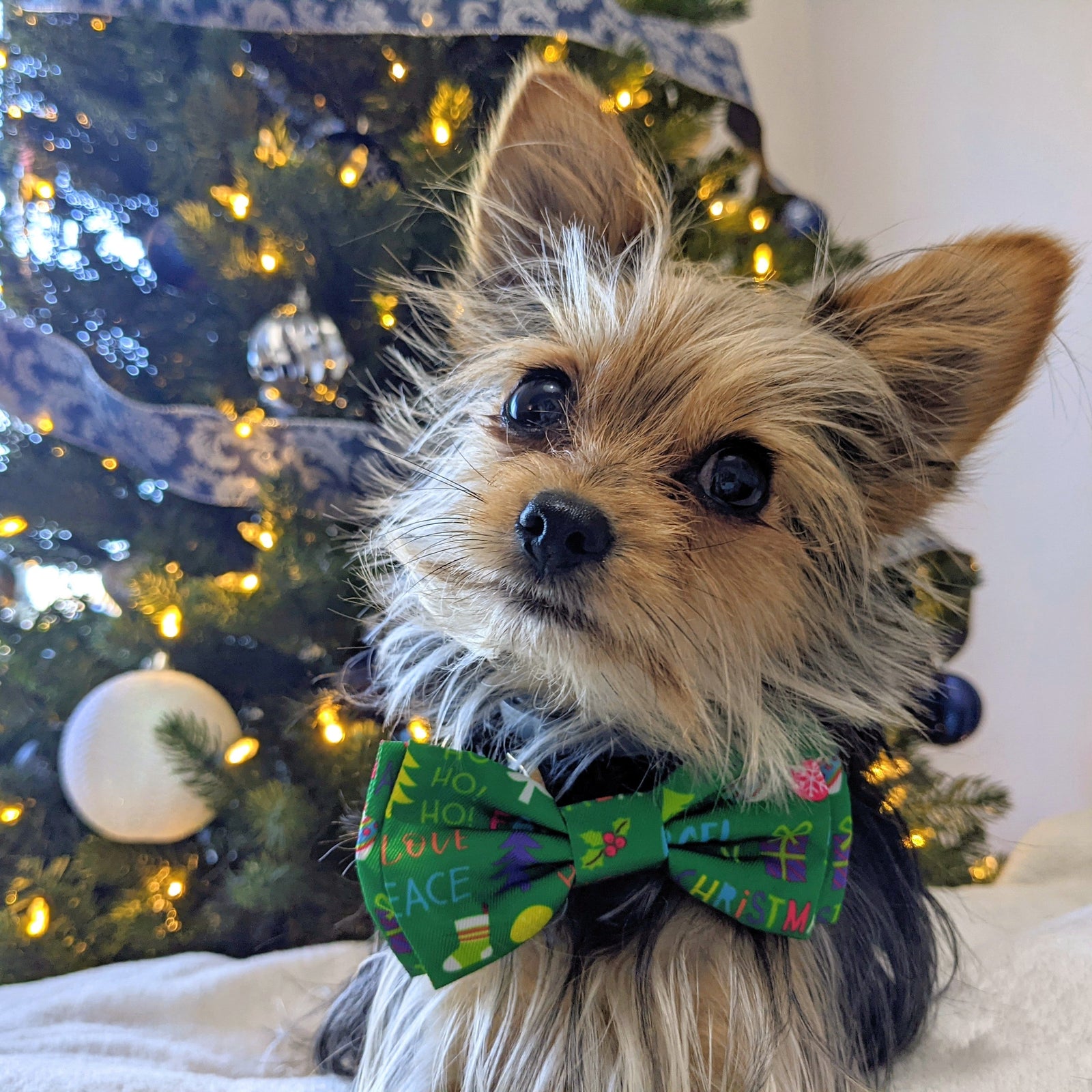 Merry & Bright Bow Tie