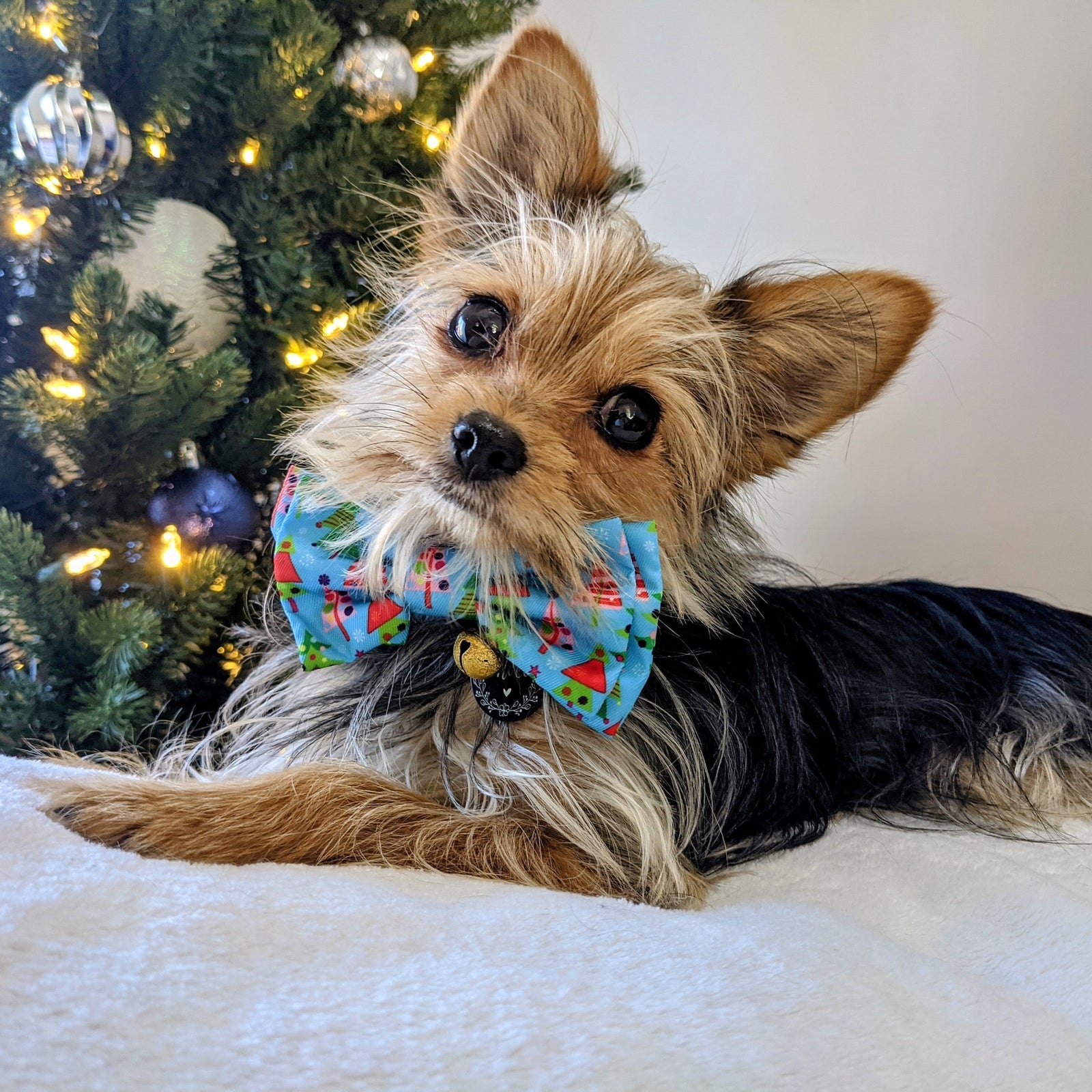 Xmas Trees Bow Tie