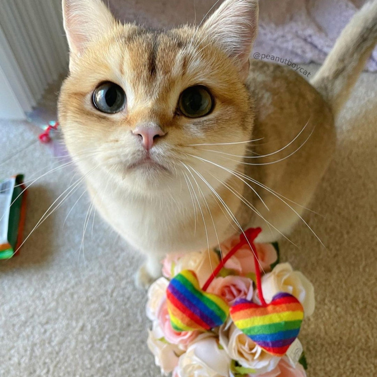 Pride Heart Strings Cat Toy