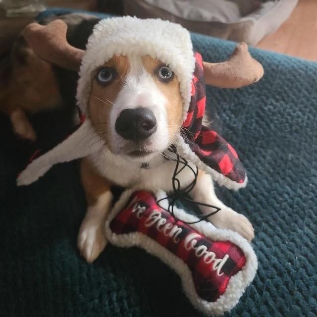 Ive Been Good Bone 2021