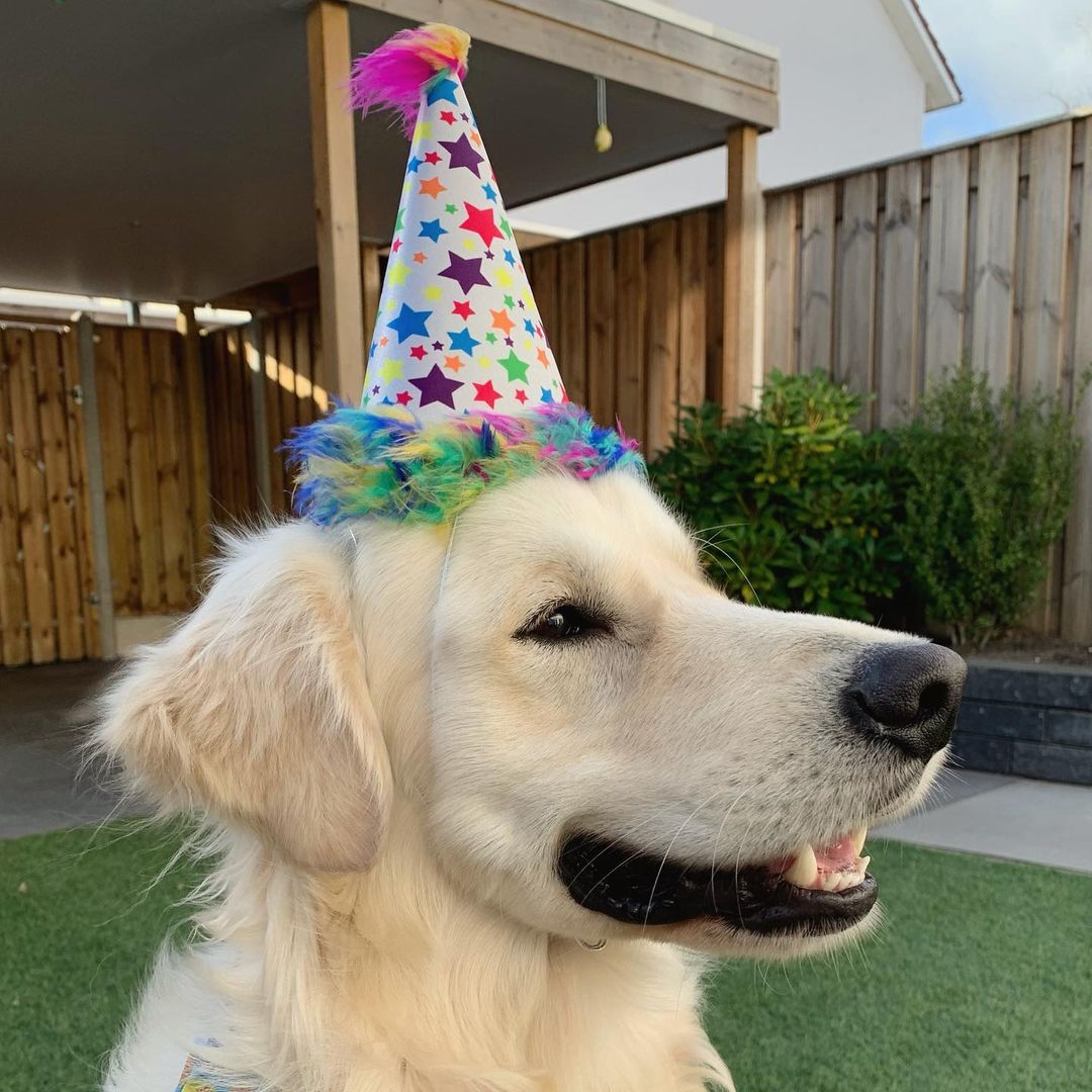 Party Hats with SnugFit®