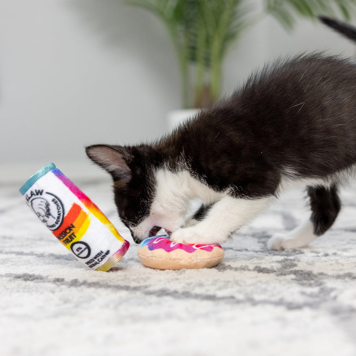 Pride Donut &amp; Kitty Klaw Passion Fruit 2Pk Cat Toy