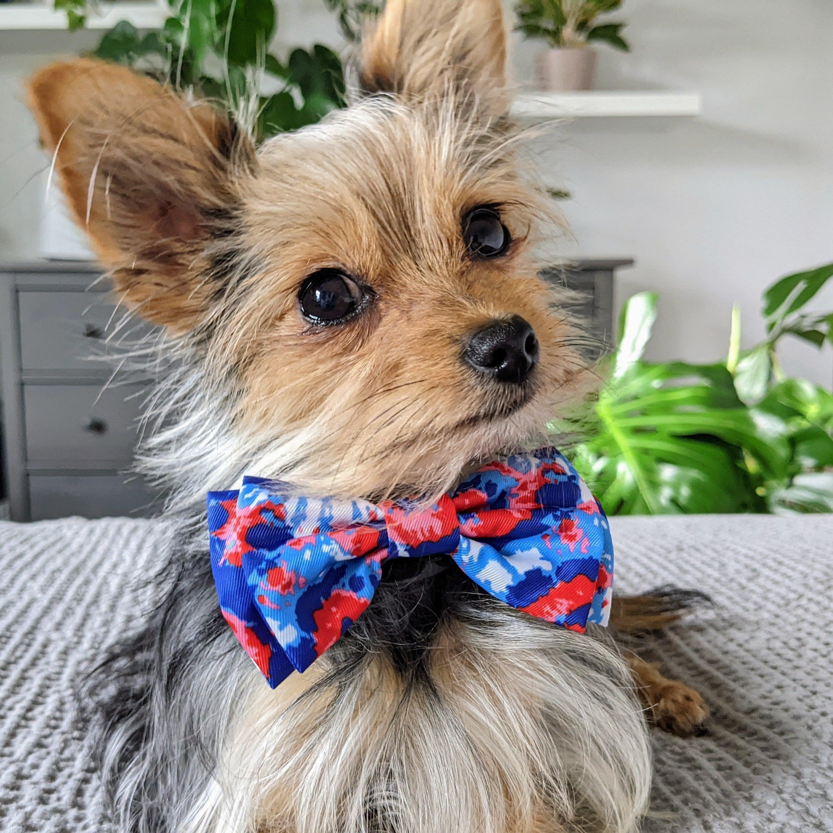 Huxley & Kent Leaves & Nuts Bow Tie