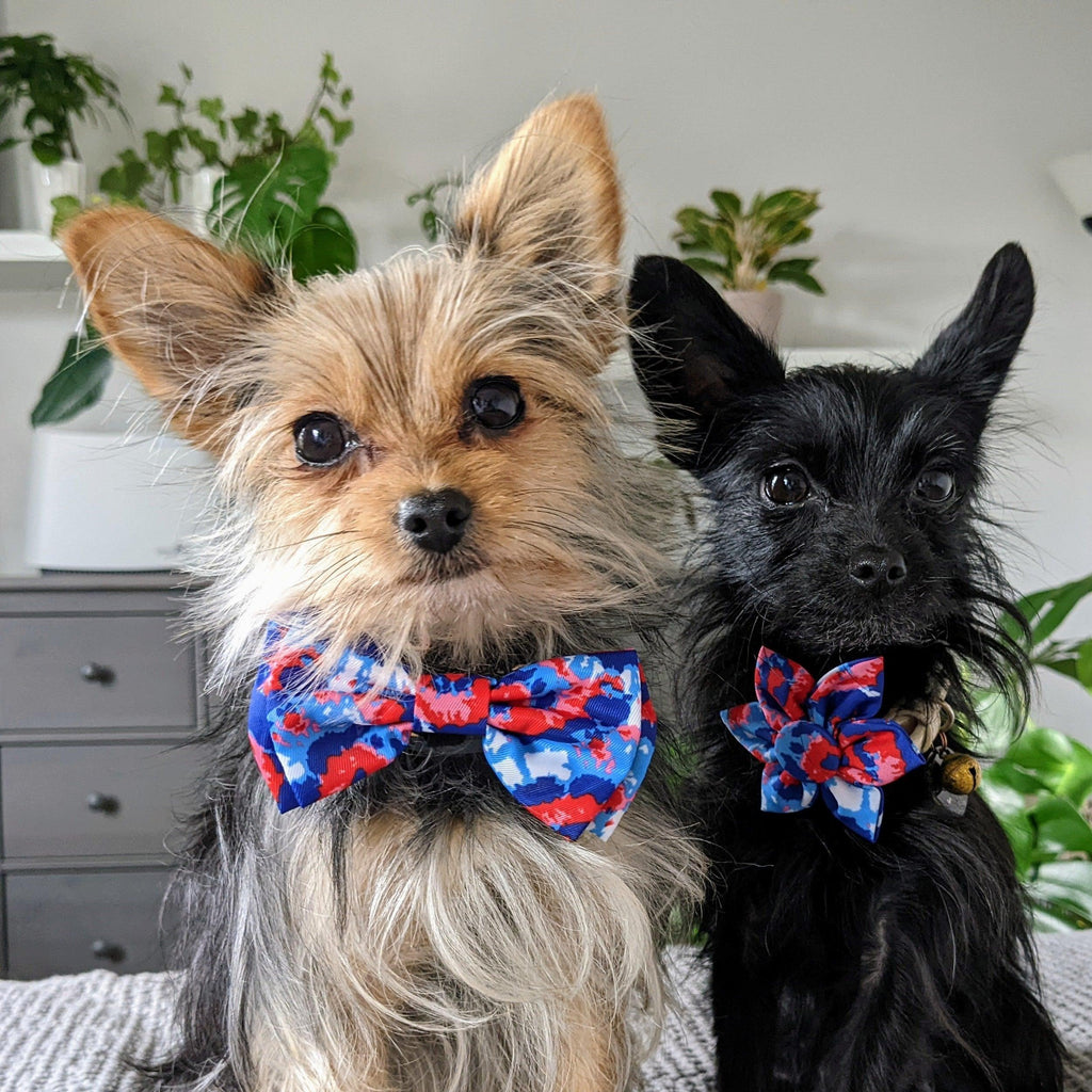 American Tie Dye Bow