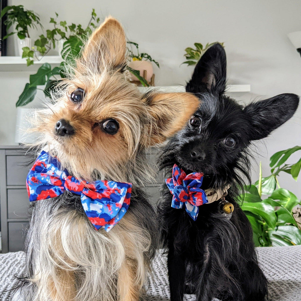 American Tie Dye Bow