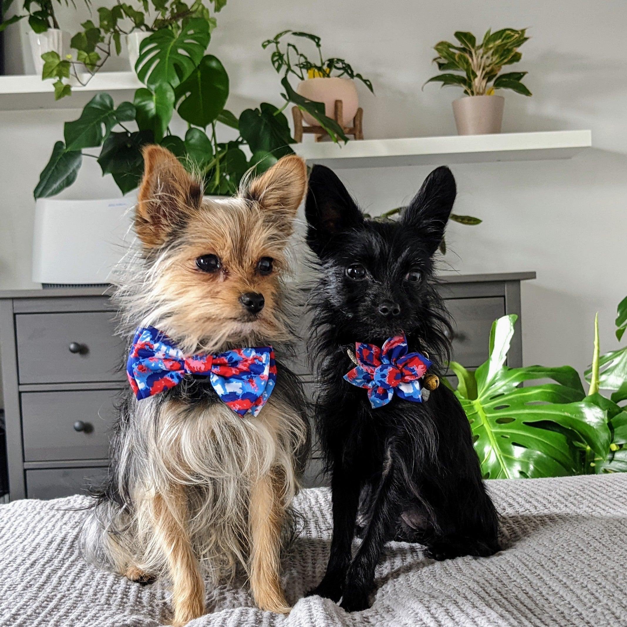 Huxley & Kent Pinwheel Holiday Pet Collar Att
