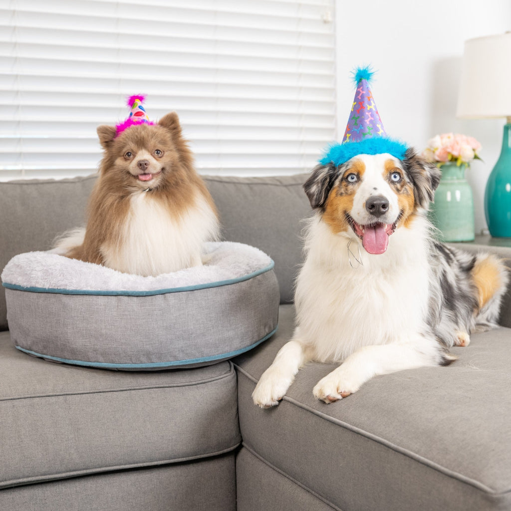 Party Hats With Snugfit