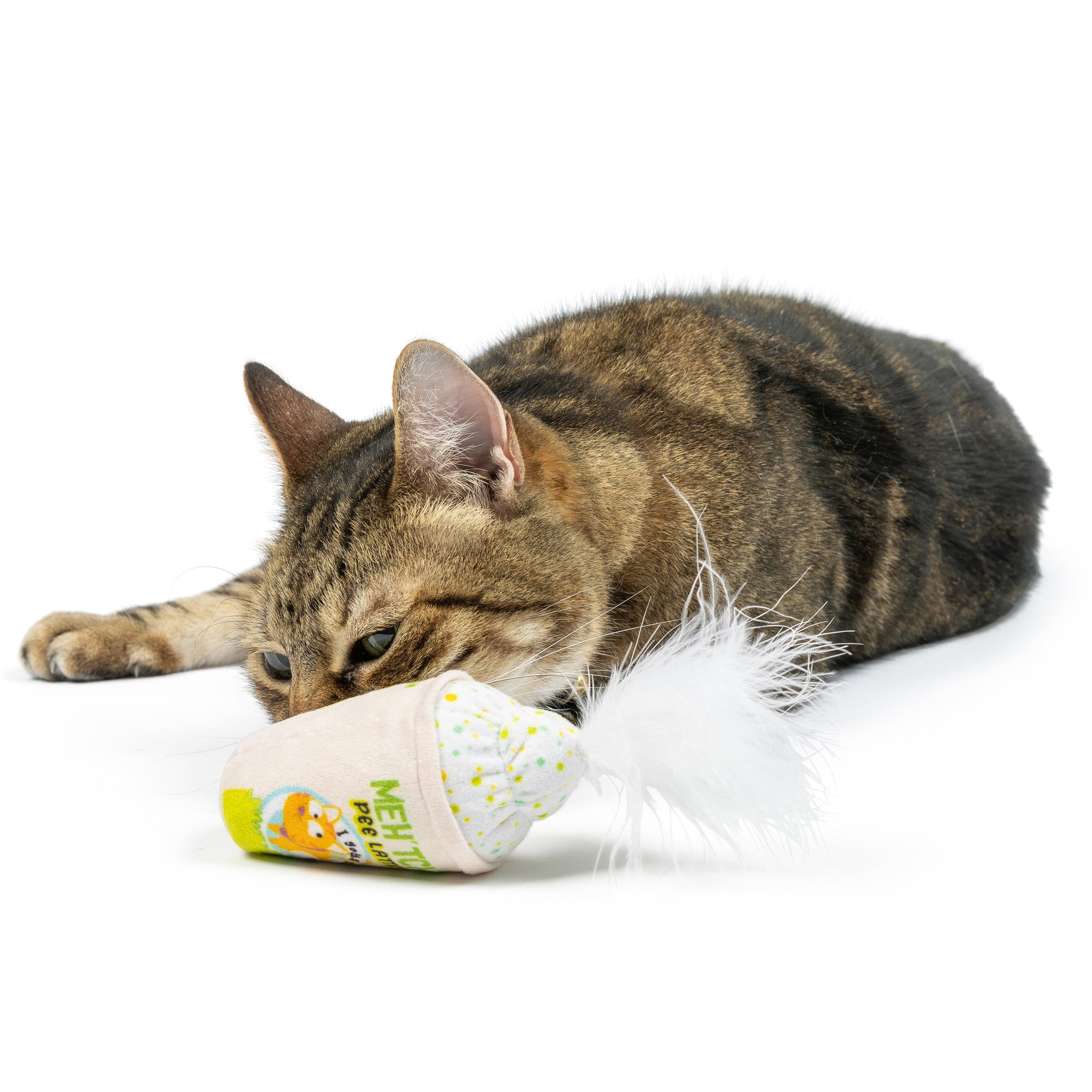 Why Does My Cat Pee on His Catnip Toy: Surprising Reasons Explained